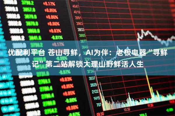 优配利平台 苍山寻鲜，AI为伴：老板电器“寻鲜记”第二站解锁大理山野鲜活人生