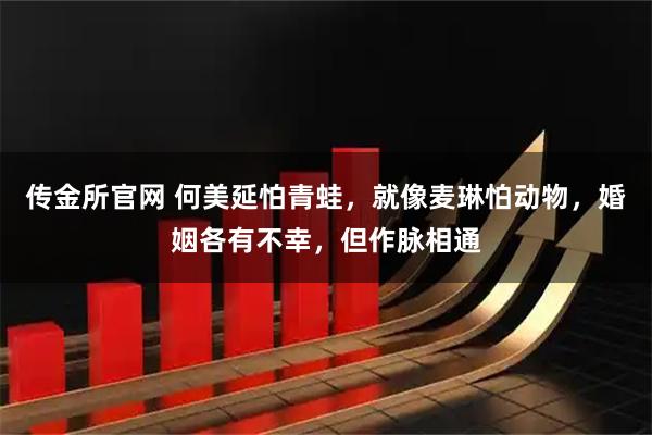 传金所官网 何美延怕青蛙，就像麦琳怕动物，婚姻各有不幸，但作脉相通