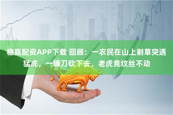 稳赢配资APP下载 回顾：一农民在山上割草突遇猛虎，一镰刀砍下去，老虎竟纹丝不动
