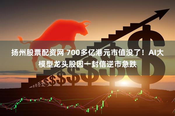 扬州股票配资网 700多亿港元市值没了！AI大模型龙头股因一封信逆市急跌
